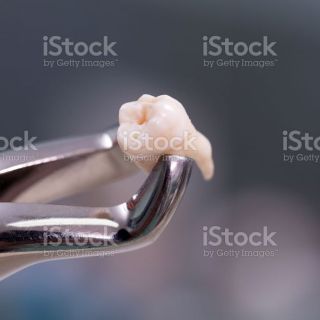 istockphoto-540863696-2048x2048